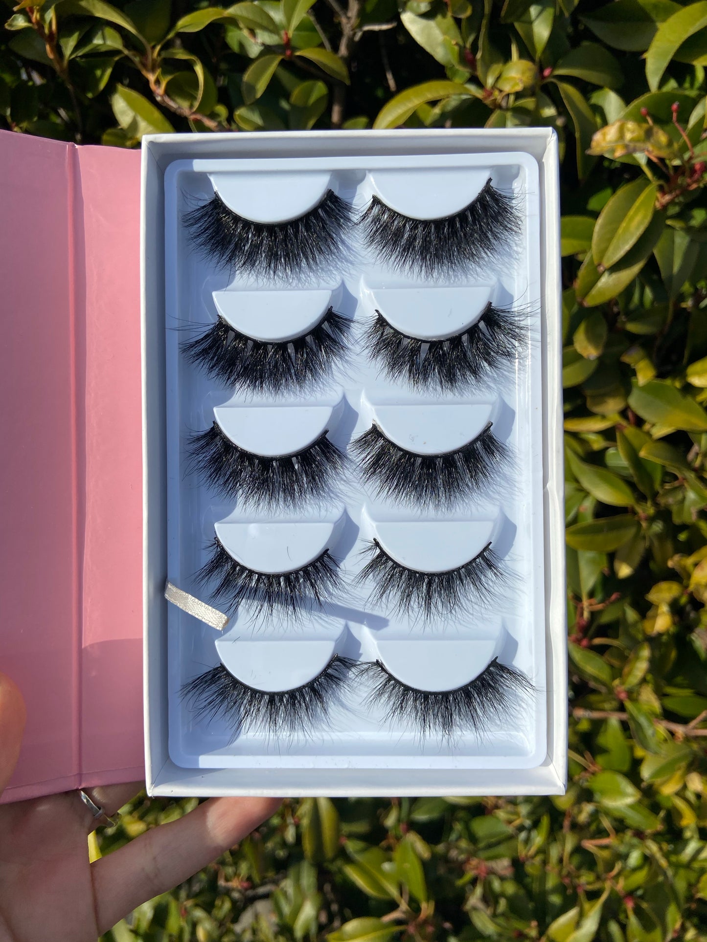 Lash Book